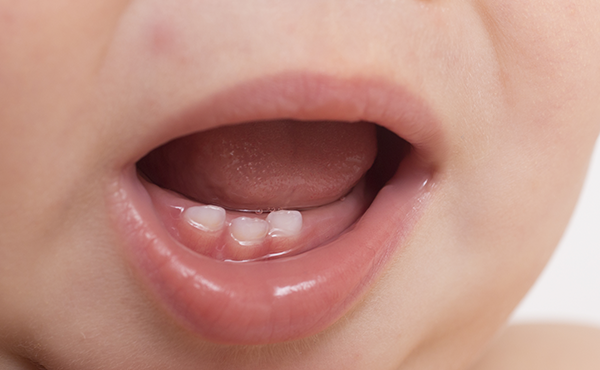 歯と口の動き