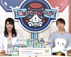 tvk猫のひたいほどワイド 　4月のテーマは、「New Normalの新しい生活様式にお口の衛生を取り入れましょう！」です！