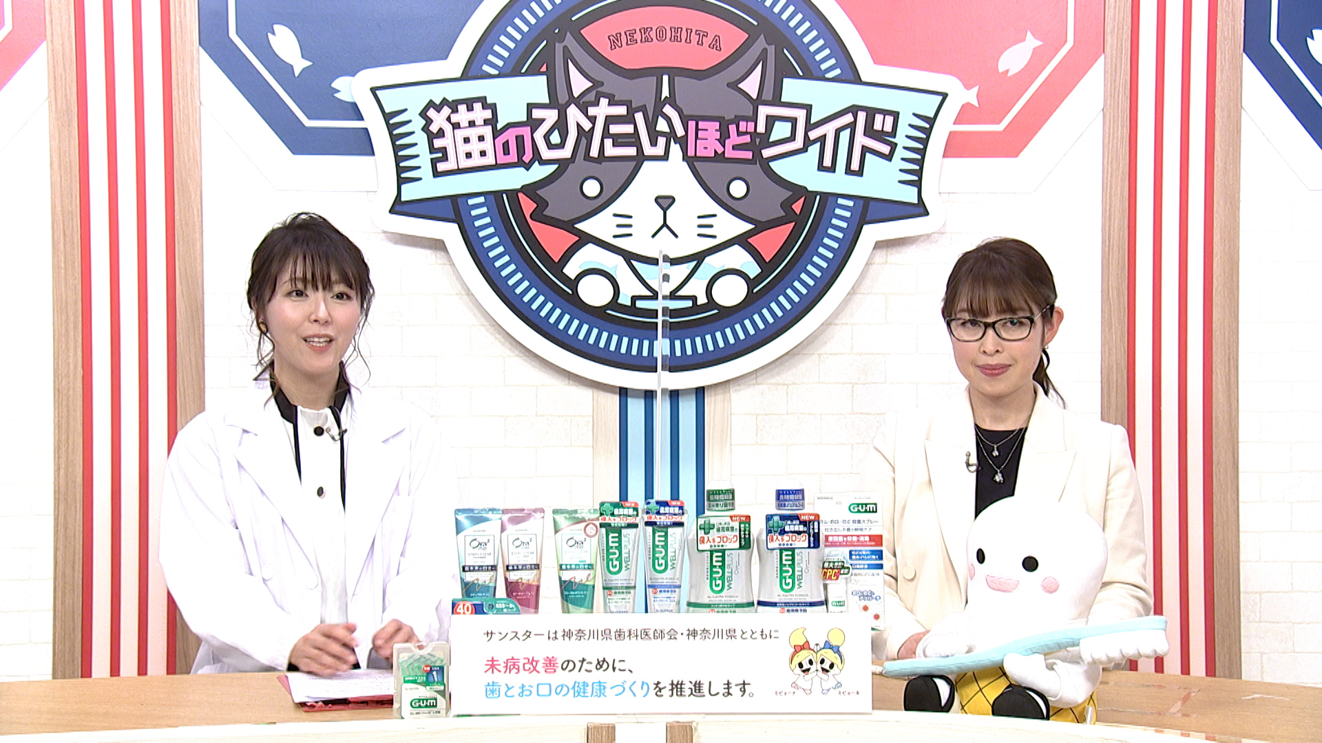 Tvk猫のひたいほどワイド 2月のテーマは 増えゆく大人むし歯 大人むし歯の原因とフッ素ケアについて です 公益社団法人神奈川県歯科医師会