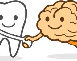 「歯」と「脳」のお話