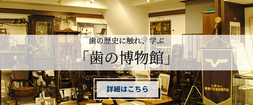 歯の歴史に触れ、学ぶ。「歯の博物館」